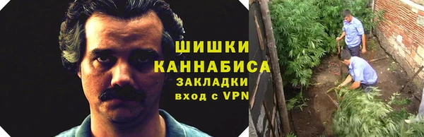 Альфа ПВП Вязьма