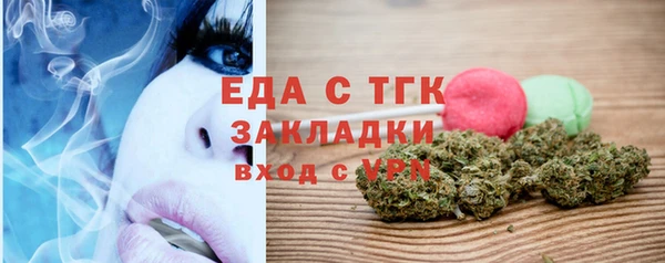 индика Вяземский