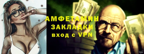 индика Вяземский