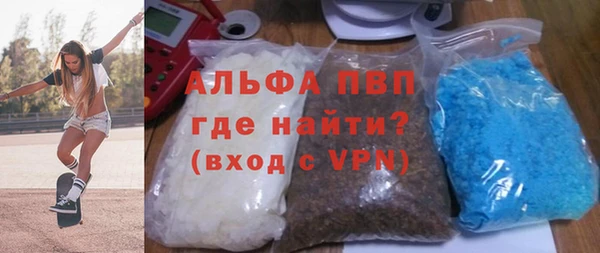 индика Горнозаводск
