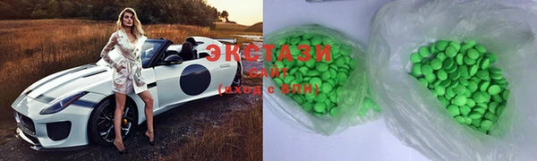 индика Вяземский