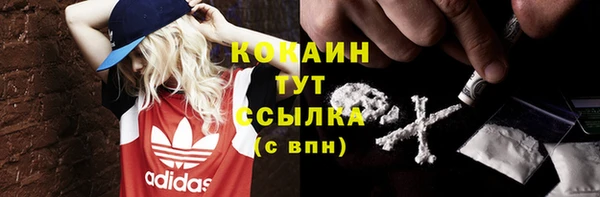 индика Вяземский