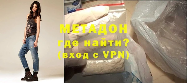 индика Вяземский