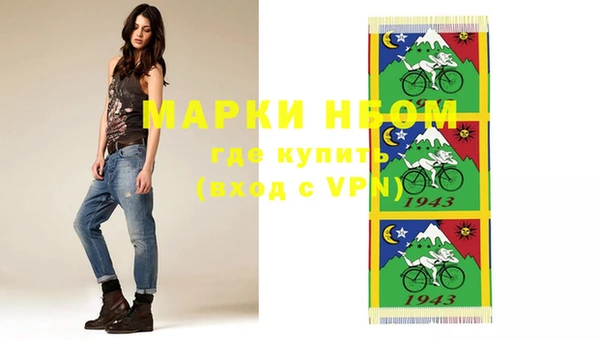индика Вяземский