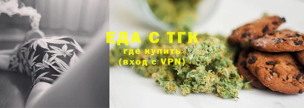 индика Горнозаводск
