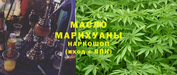 индика Вяземский