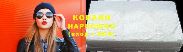индика Вяземский