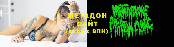 индика Вяземский