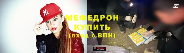 индика Вяземский