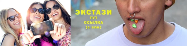 индика Вяземский