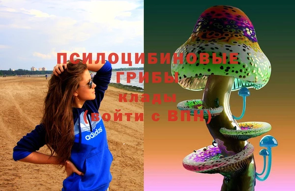 Альфа ПВП Вязьма