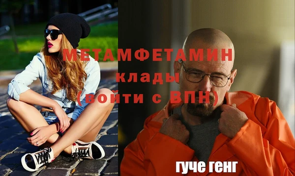 индика Вяземский