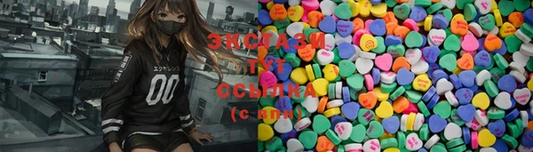индика Вяземский