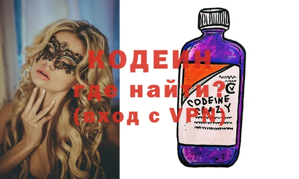 индика Вяземский