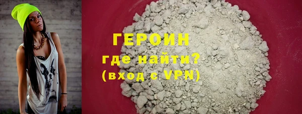 индика Вяземский