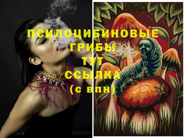 дживик Вязники