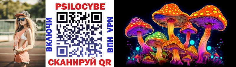 купить наркоту  Чита  Псилоцибиновые грибы прущие грибы 